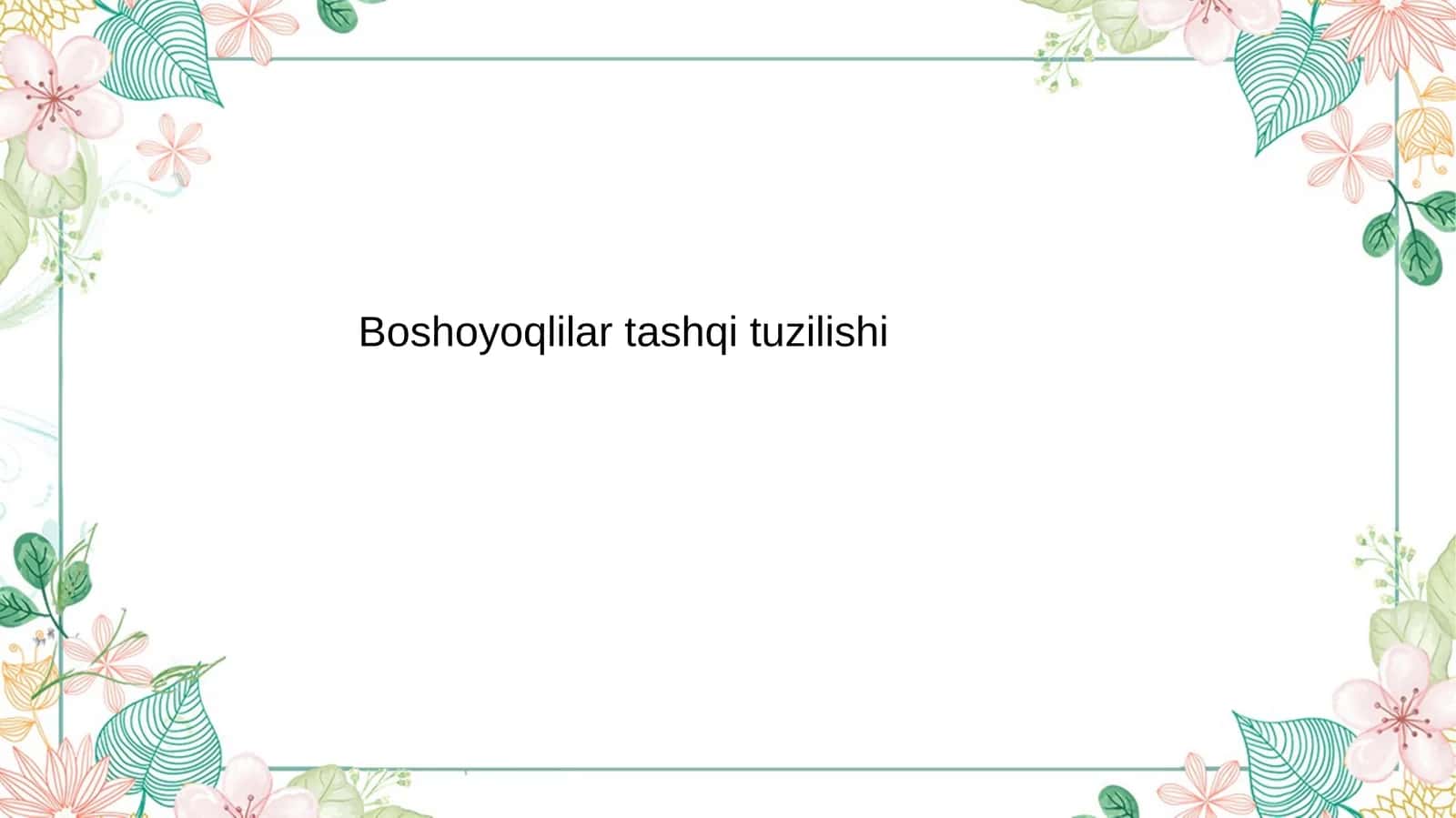 Boshoyoqli mollyuskalar (Cephalopoda)