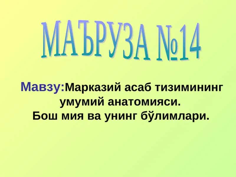 Markaziy asab tizimining umumiy anatomiyasi