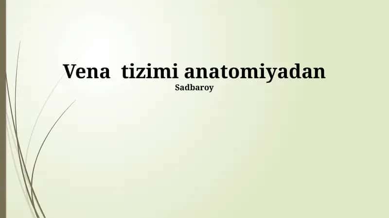 Tomirlar Tizimi Anatomiyasi