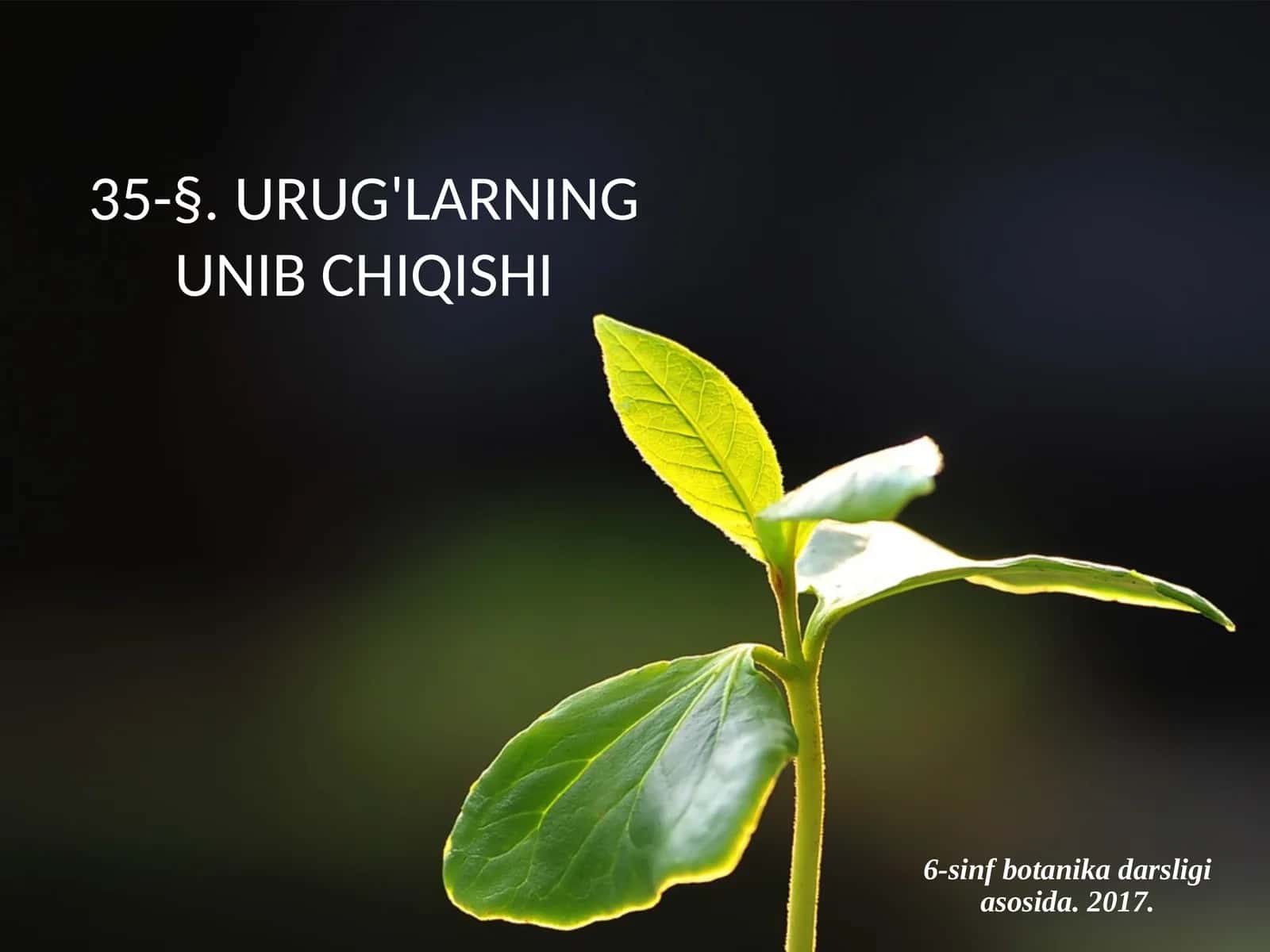 6-sinf Botanika Urug'larning unib chiqishi
