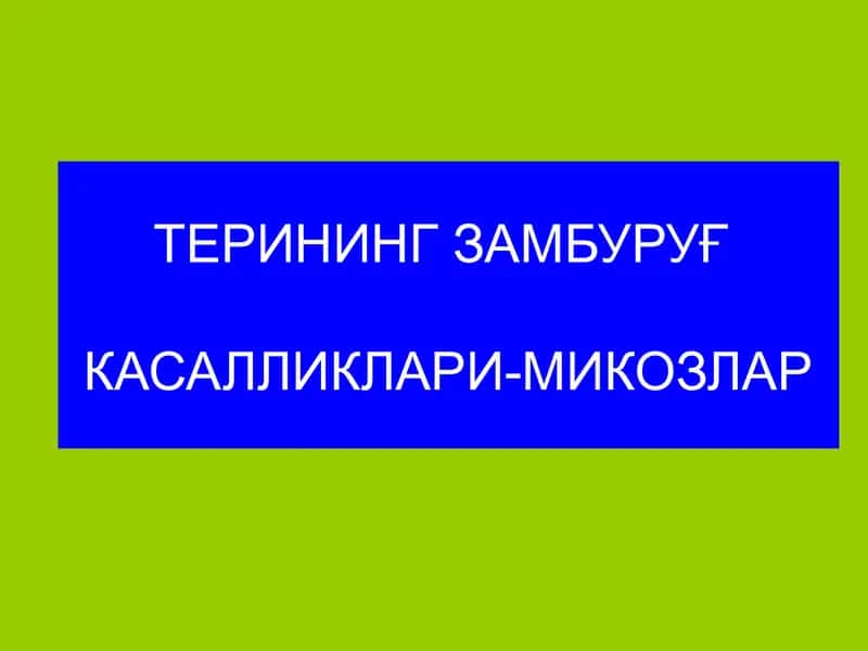 Замбуруғ касалликлари-микозлар