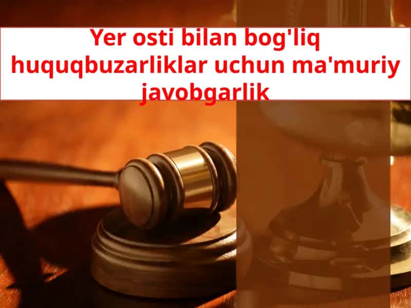 Yerostibilanbog'liqhuquqbuzarliklaruchunma'muriyjavobgarlik