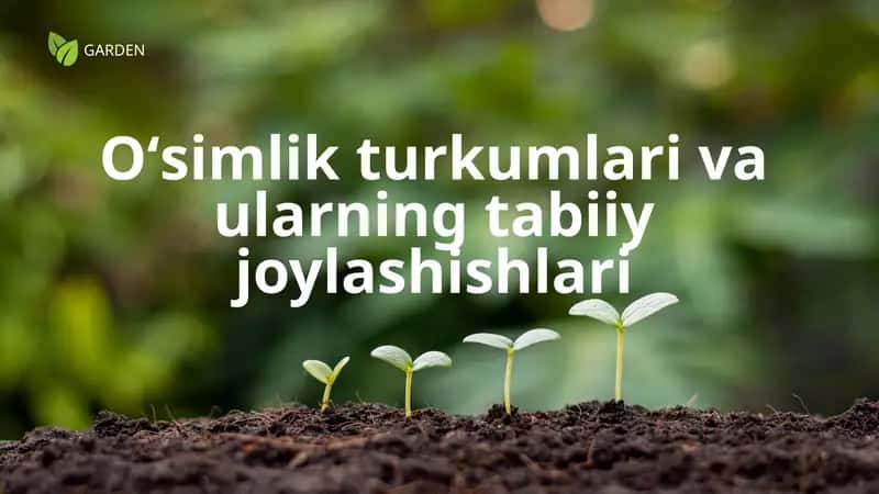 O‘simlik turkumlari va ularning tabiiy joylashishlari