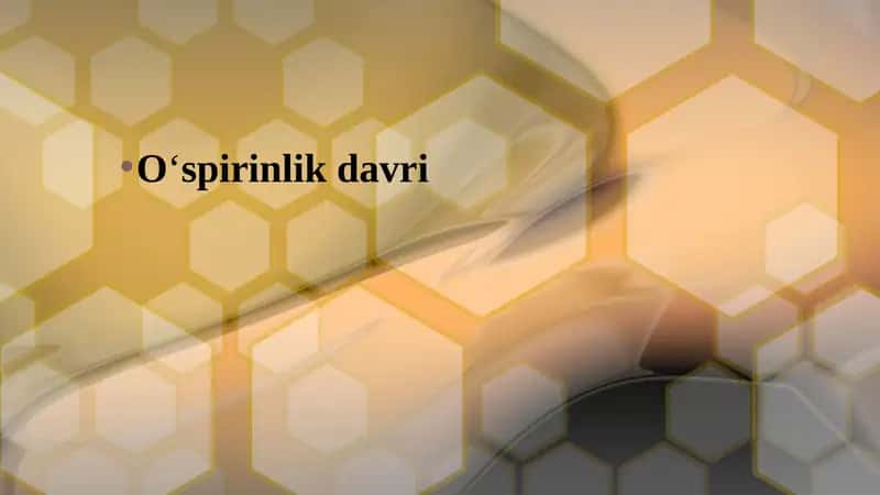 O‘spirinlik davri