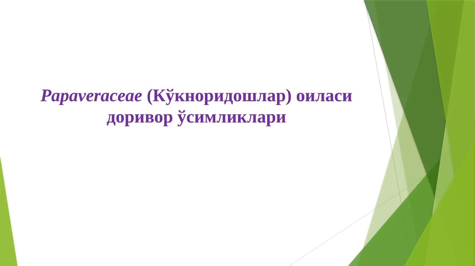 Papaveraceae(Кўкноридошлар) оиласи доривор ўсимликлари