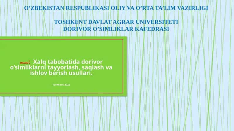 Dorivor O'simliklarni Tayyorlash