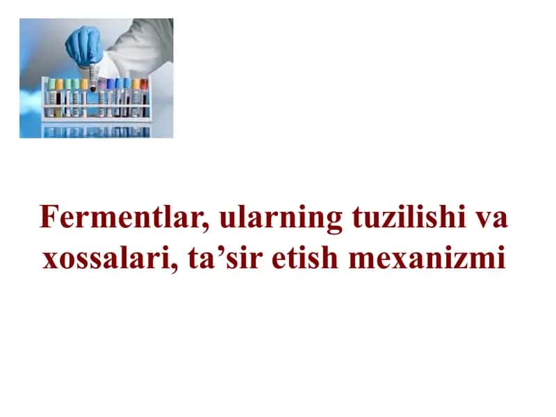 Fermentlar