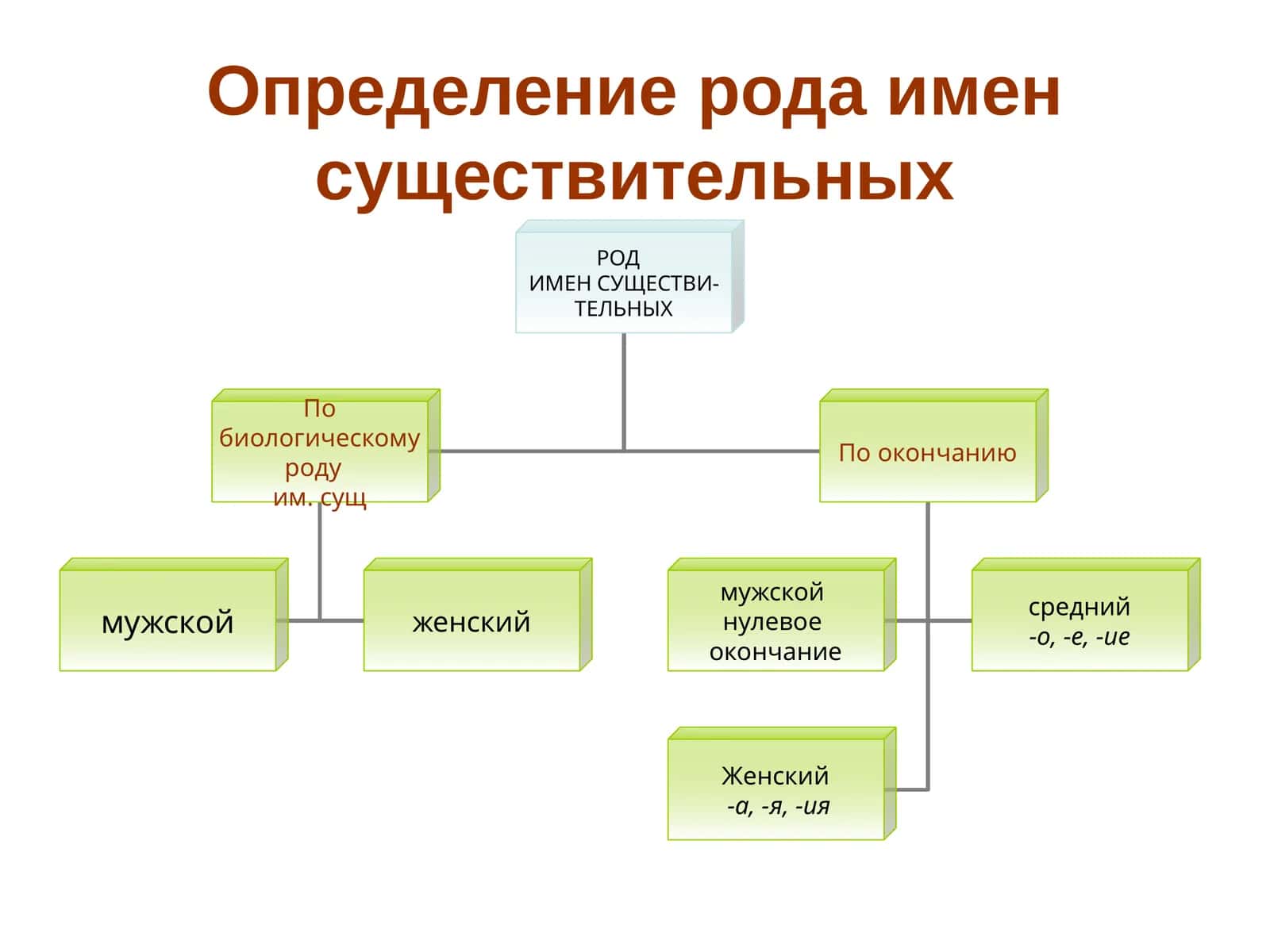 Определение рода имен существительных
