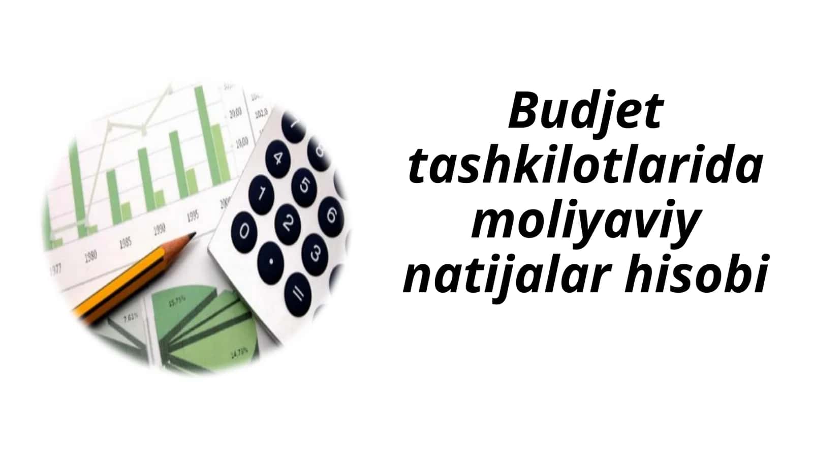 Budjet tashkilotlarida moliyaviy natijalar hisobi
