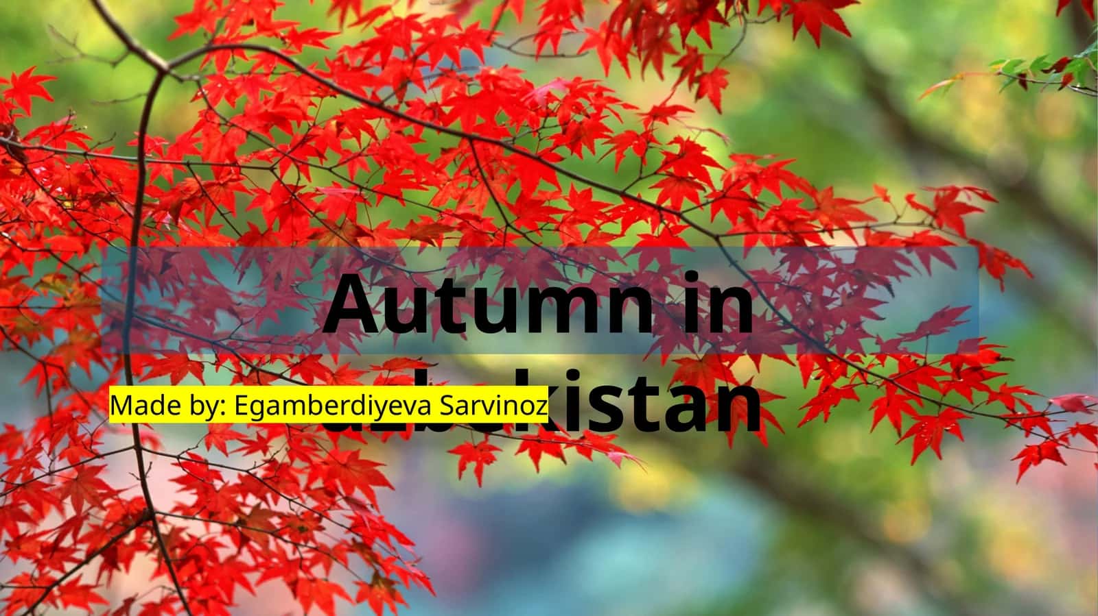 Autumn in Uzbekistan