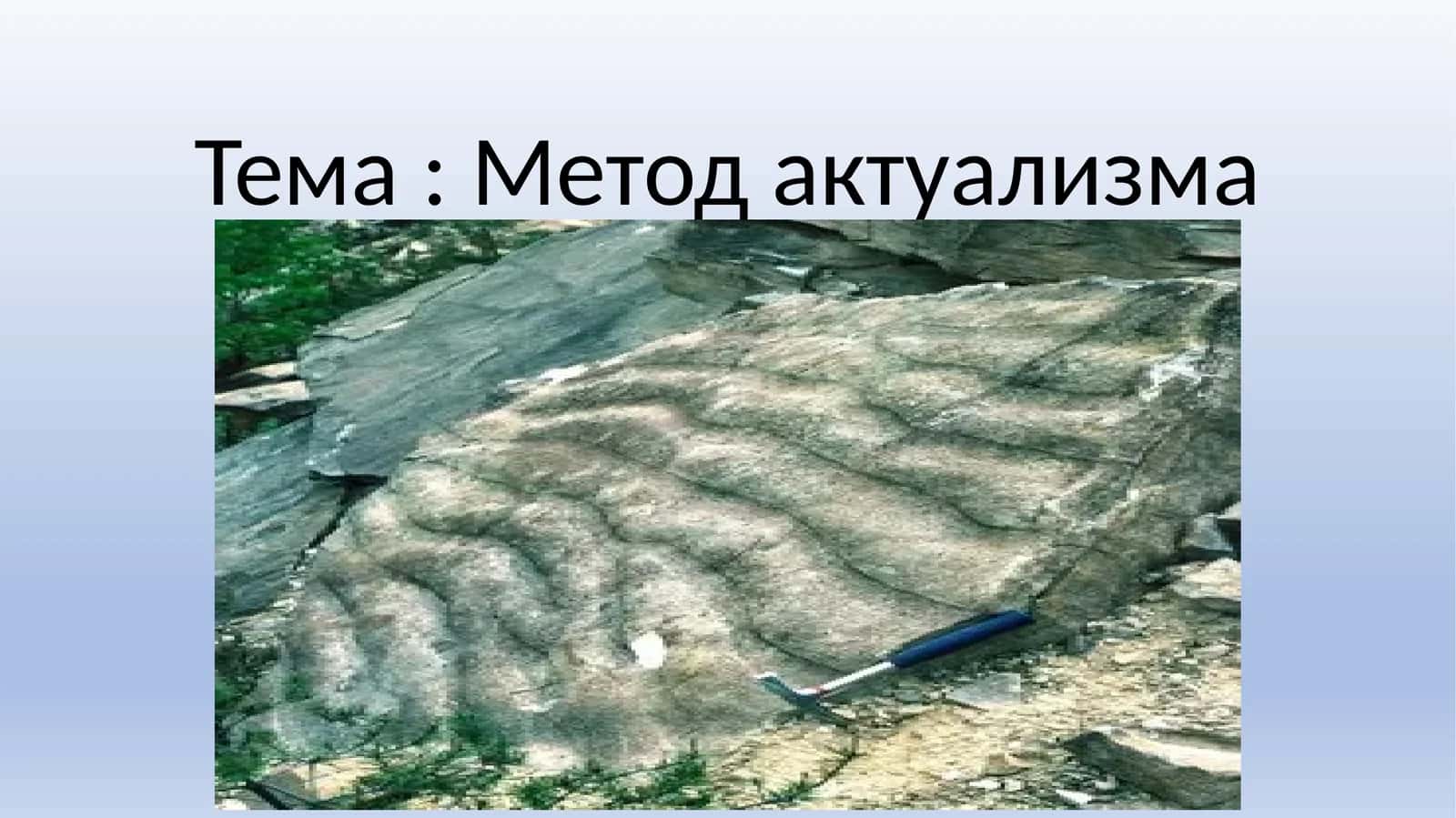 Метод актуализма
