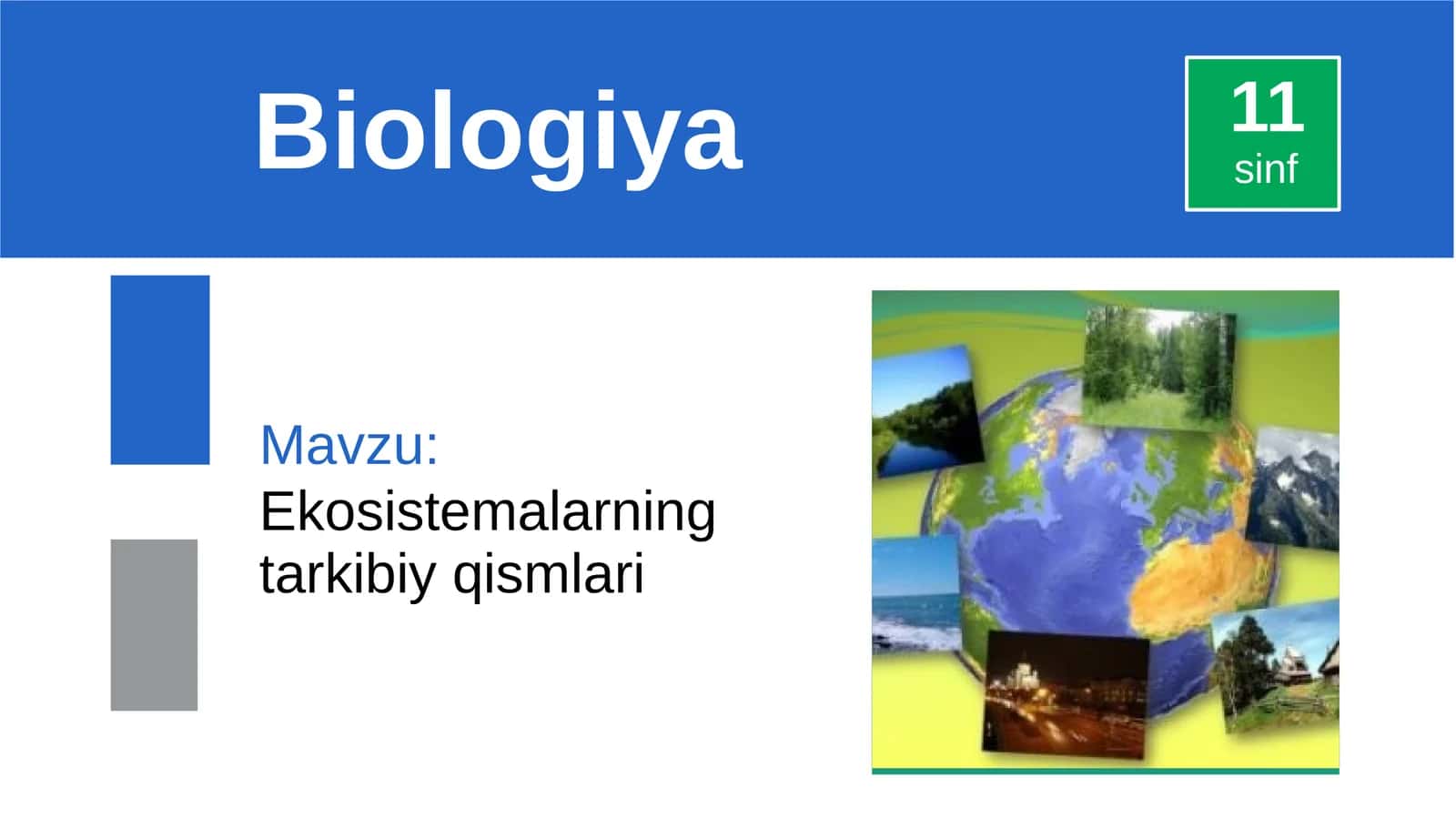 Ekosistemalarning tarkibiy qismlari