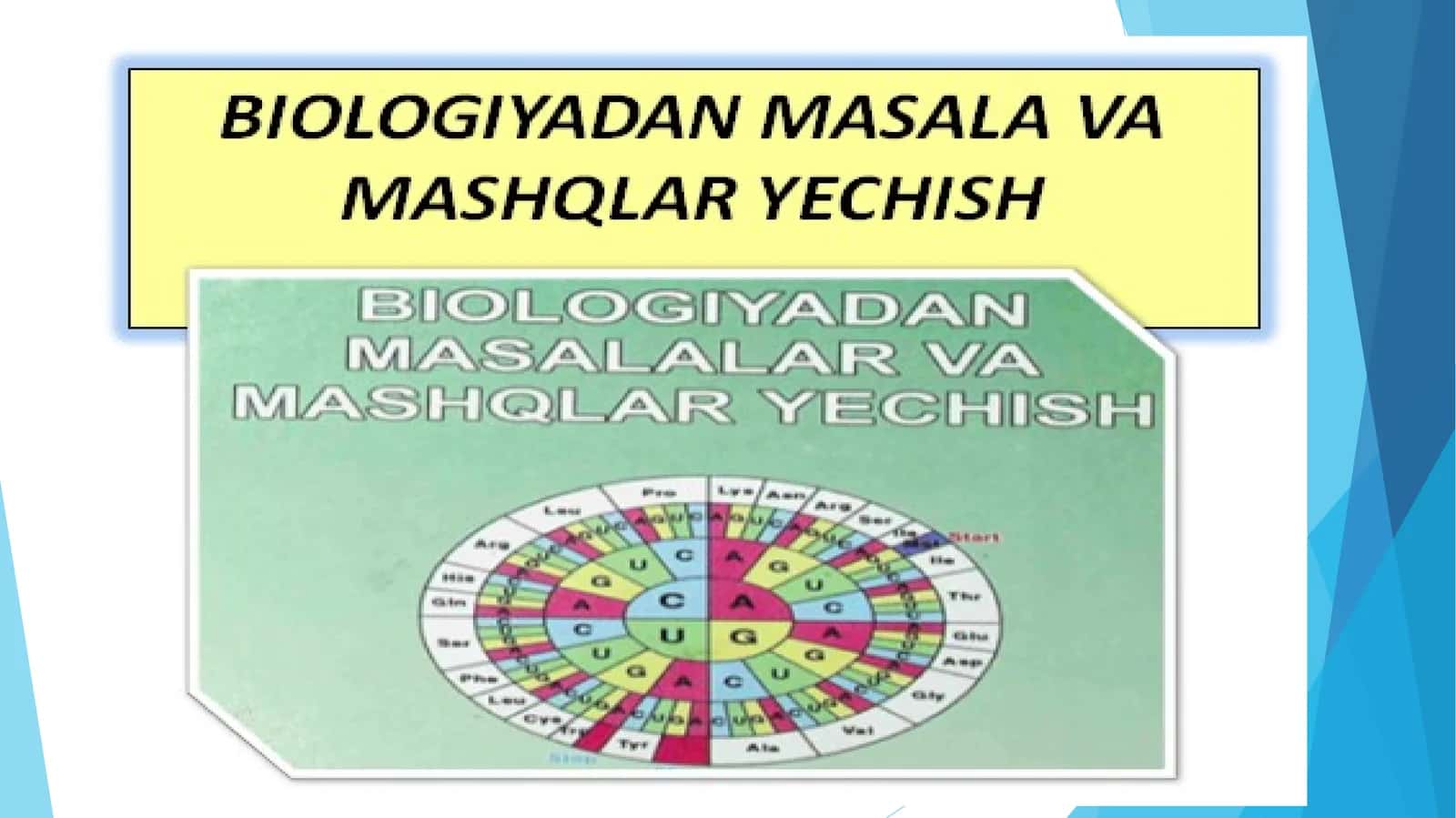 Plastik va energetik almashinuv bo‘yicha masala va mashqlar yechish