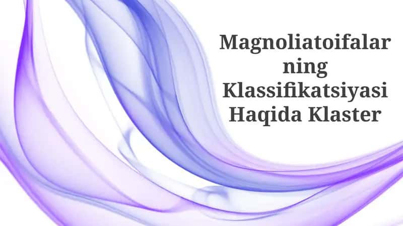 Magnoliatoifalarning Klassifikatsiyasi Haqida Klaster