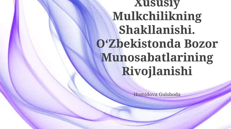 Iqtisodiy Islohotlar, Xususiy Mulkchilikning Shakllanishi