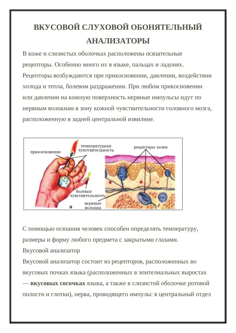 Вкусовой анализатор