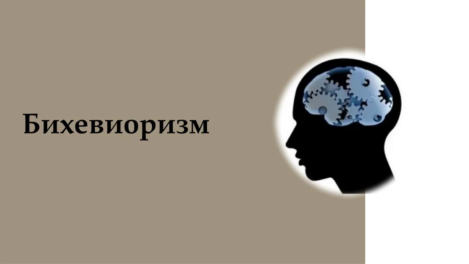 Бихевиоризм