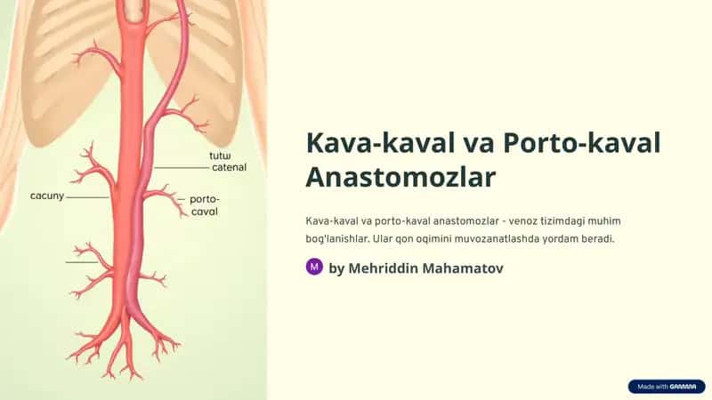 Kava-kaval va Porto-kaval Anastomozlar