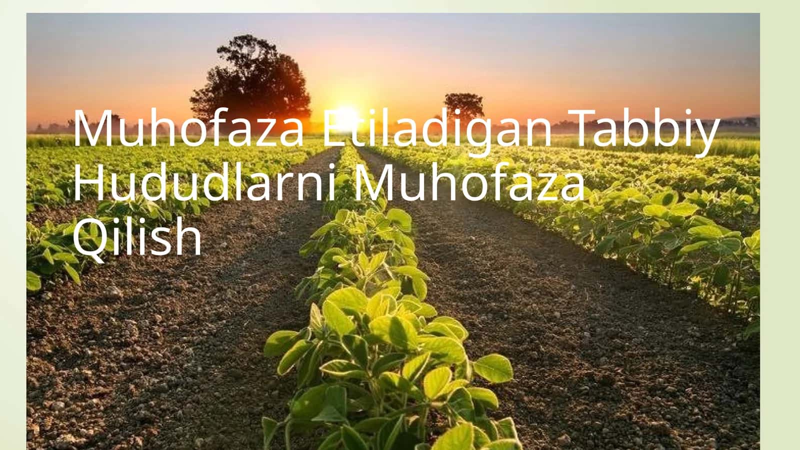 Muhofaza etiladigan tabiiy hududlarni muhofaza qilish