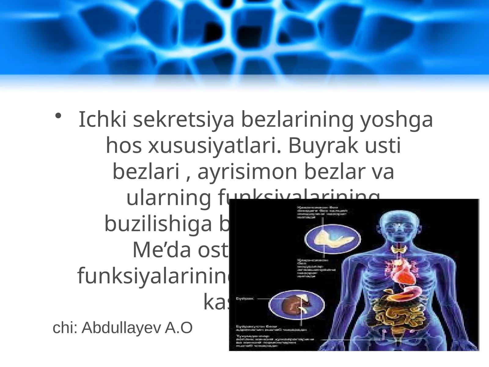 Ichki sekretsiya bezlarining yoshga hos xususiyatlari. Buyrak usti bezlari, ayrisimon bezlar va ularning funksiyalarining buzilishiga bog'liq kasalliklar. Me’da osti bezi va uning funksiyalarining buzilishiga bog'liq kasalliklar