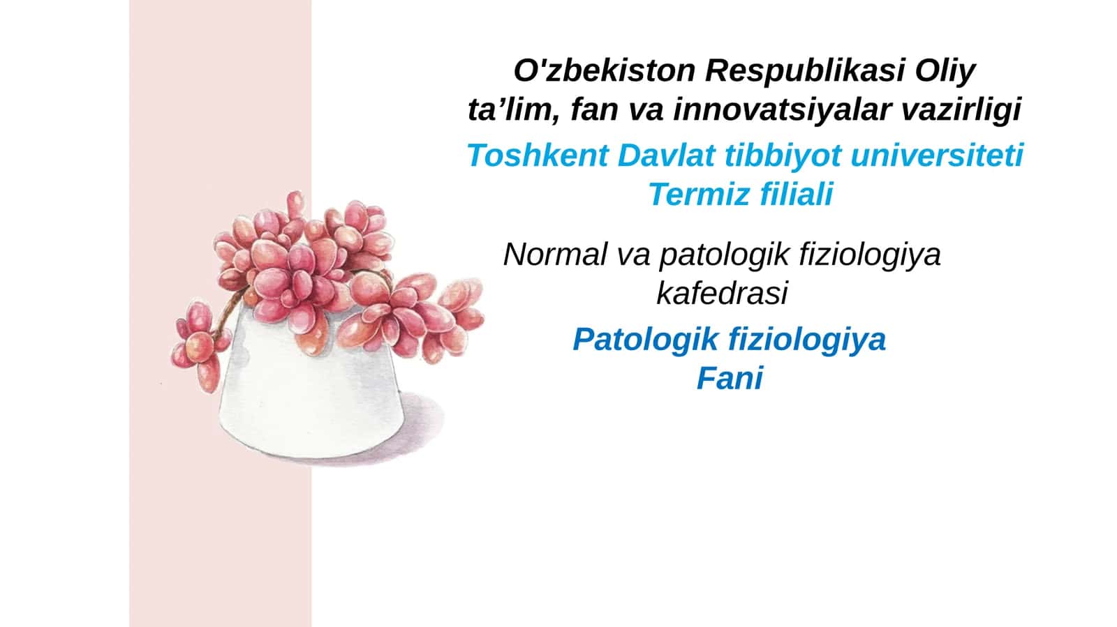 Mutlaq va nisbiy toj tomir yetishmovchiligi. Yurak ishemik kasalligi, uning shakllari, sabablari va rivojlanish mexanizlari