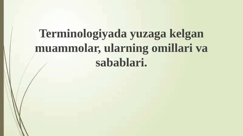 Terminologiyadagi muammolar