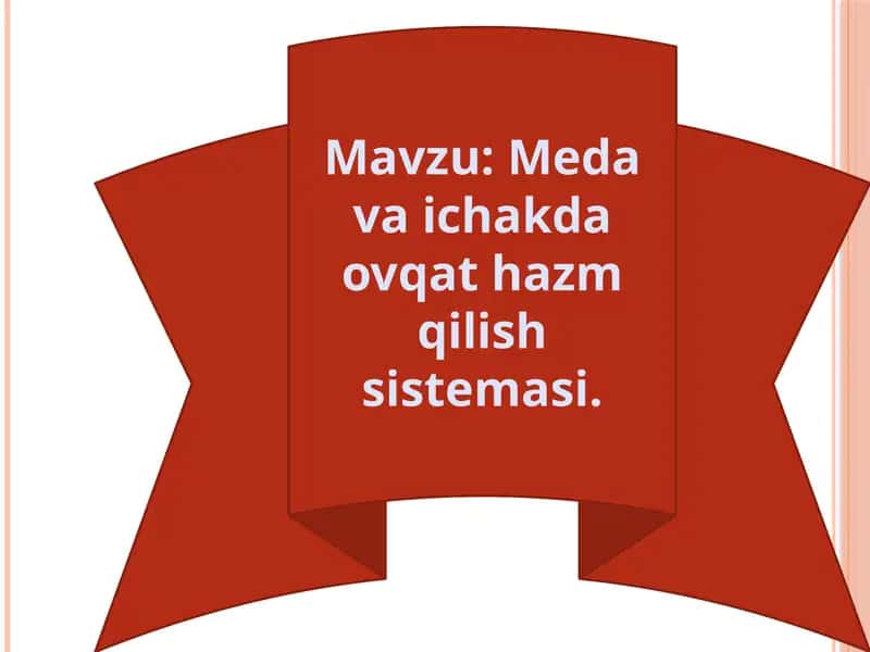 Meda va ichakda ovqat hazm qilish sistemasi