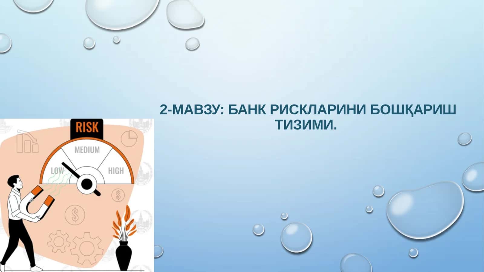Банк рискларини бошқариш тизими