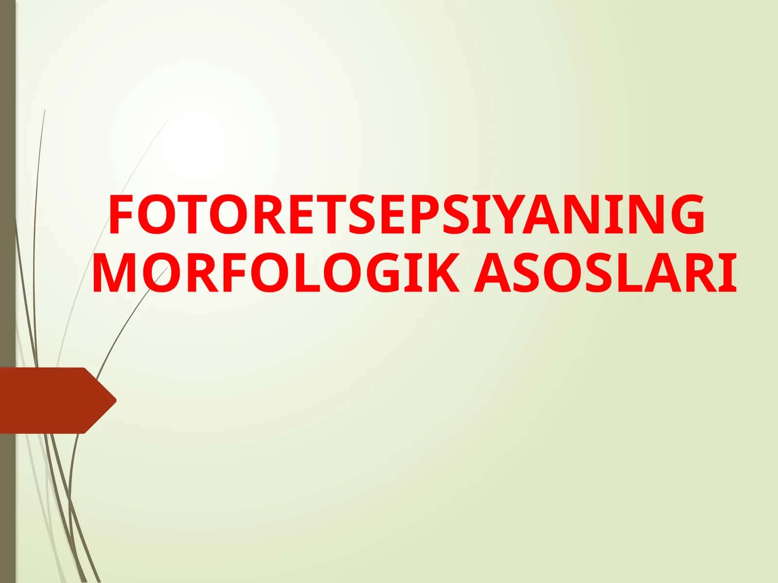 FOTORETSEPSIYANING MORFOLOGIK ASOSLARI