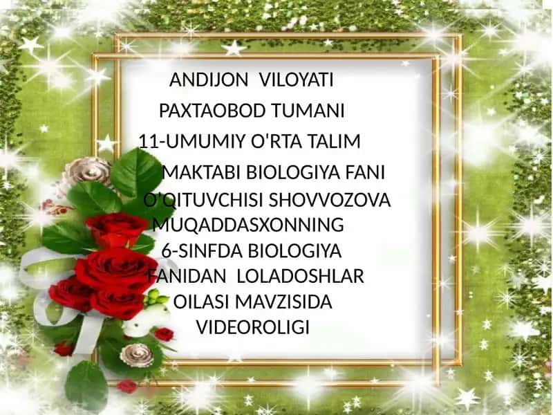 Loladoshlar oilasi mavzusida videoroligi