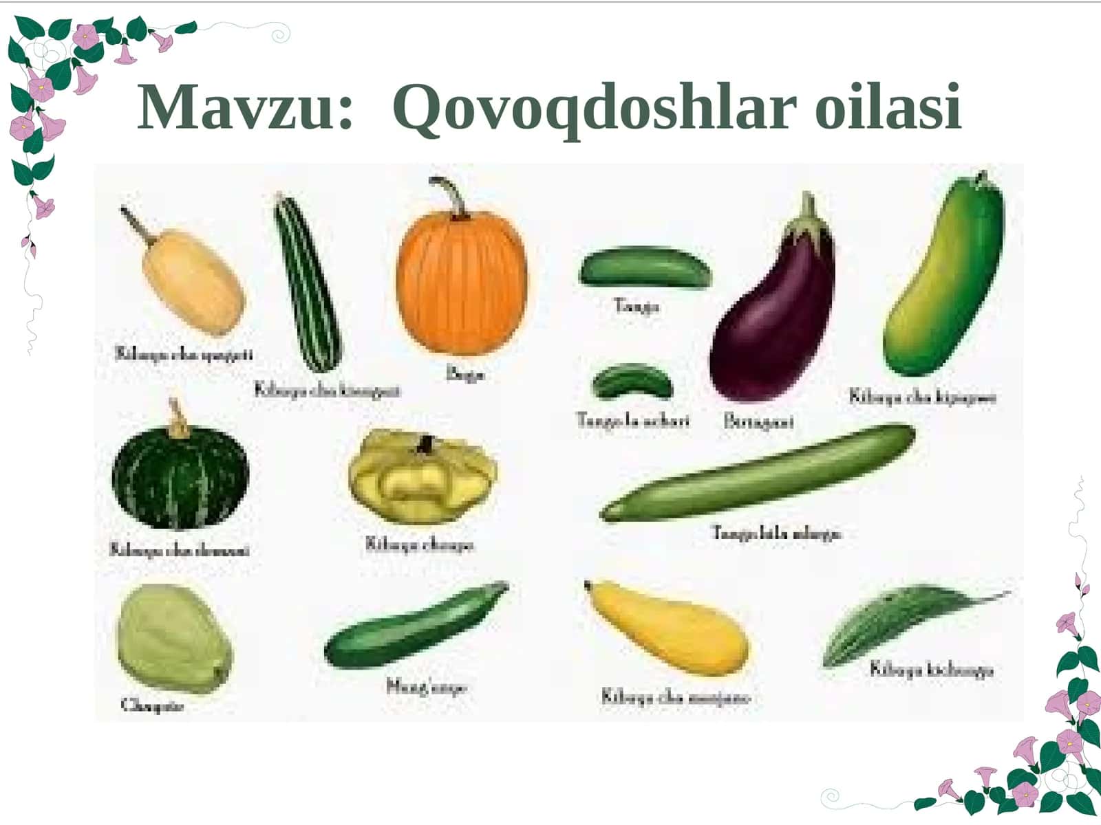 Qovoqdoshlar oilasi