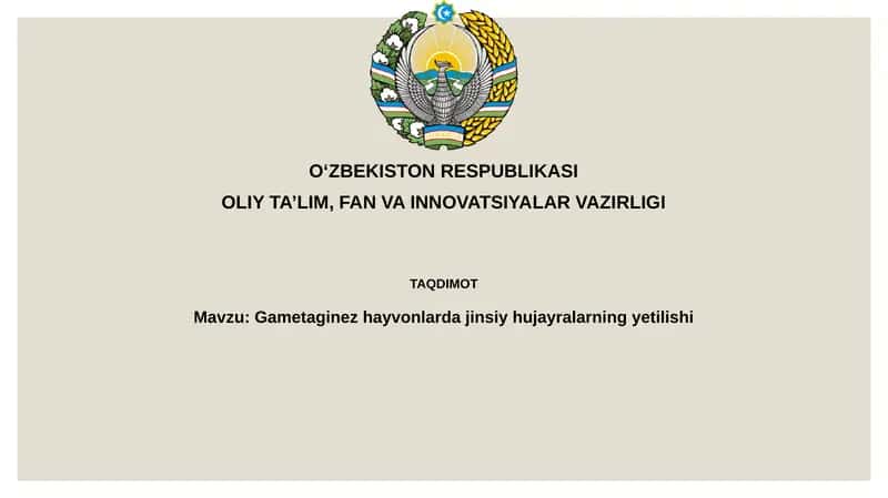 Gametagine zhayvonlarda jinsiy hujayralarning yetilishi