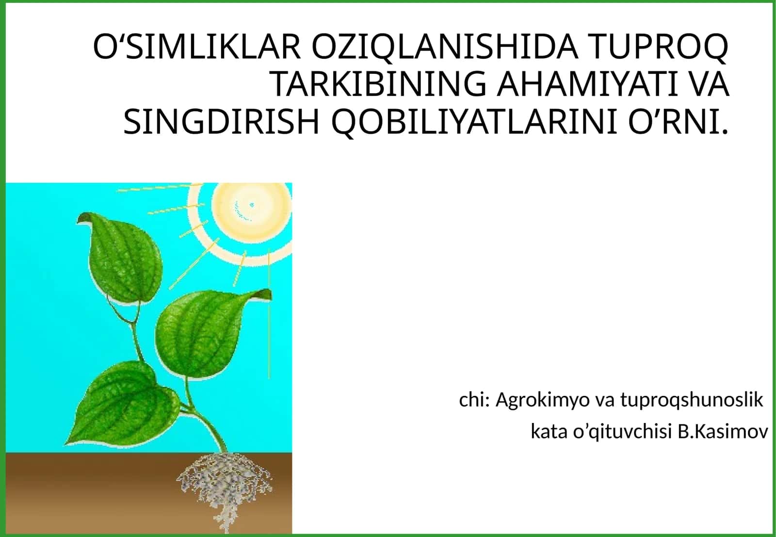 O‘SIMLIKLAR OZIQLANISHIDA TUPROQ TARKIBINING AHAMIYATI VA SINGDIRISH QOBILIYATLARINI O’RNI