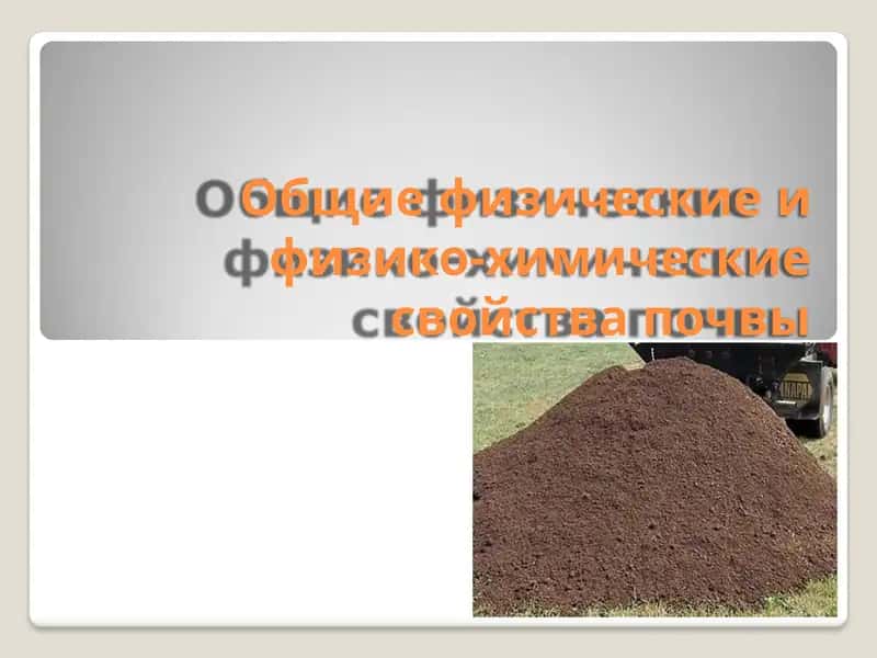 Общие физические и физико-химические свойства почвы