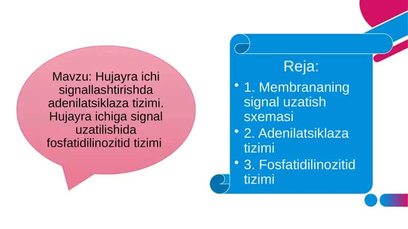 Membrananing muhim xususiyatlari