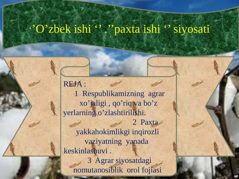 O’zbekishi paxta ishi siyosati
