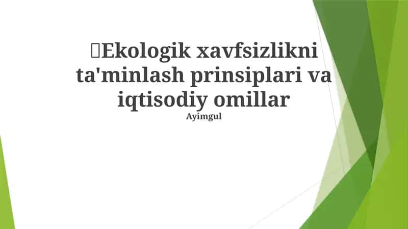 Ekologik xavfsizlikni ta'minlash prinsiplari va iqtisodiy omillar