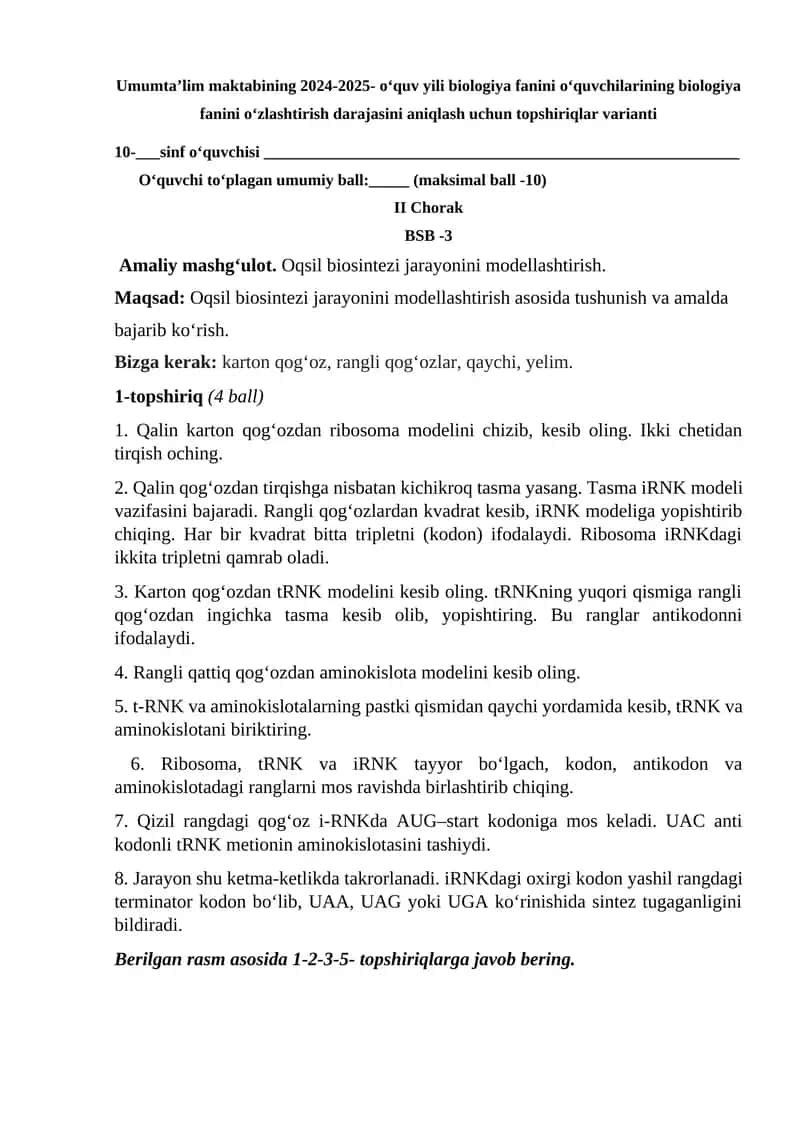 Qalin karton qog‘ozdan ribosoma modelini chizish