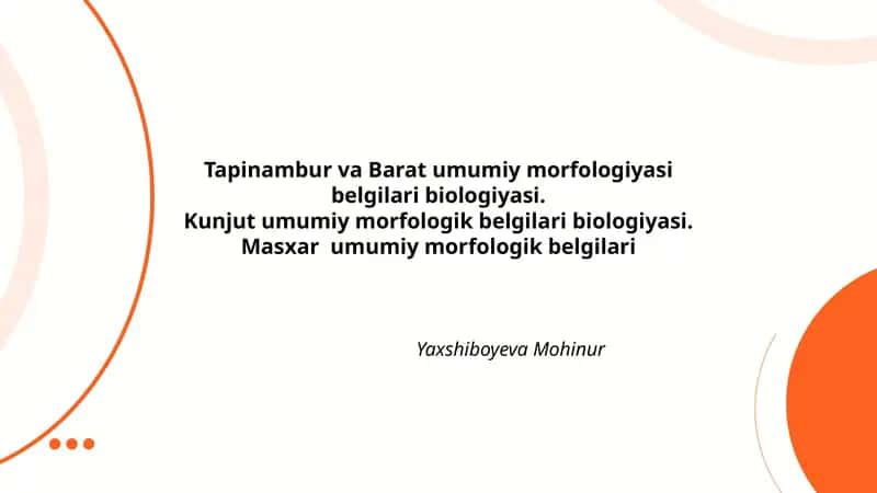 Tapinambur va Barat umumiy morfologiyasi belgilari biologiyasi