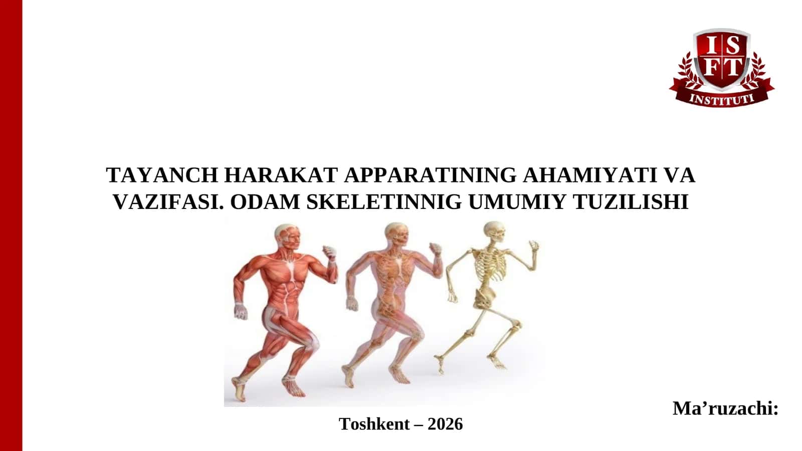 TAYANCH HARAKAT APPARATINING AHAMIYATI VA VAZIFASI. ODAM SKELETINNIG UMUMIY TUZILISHI