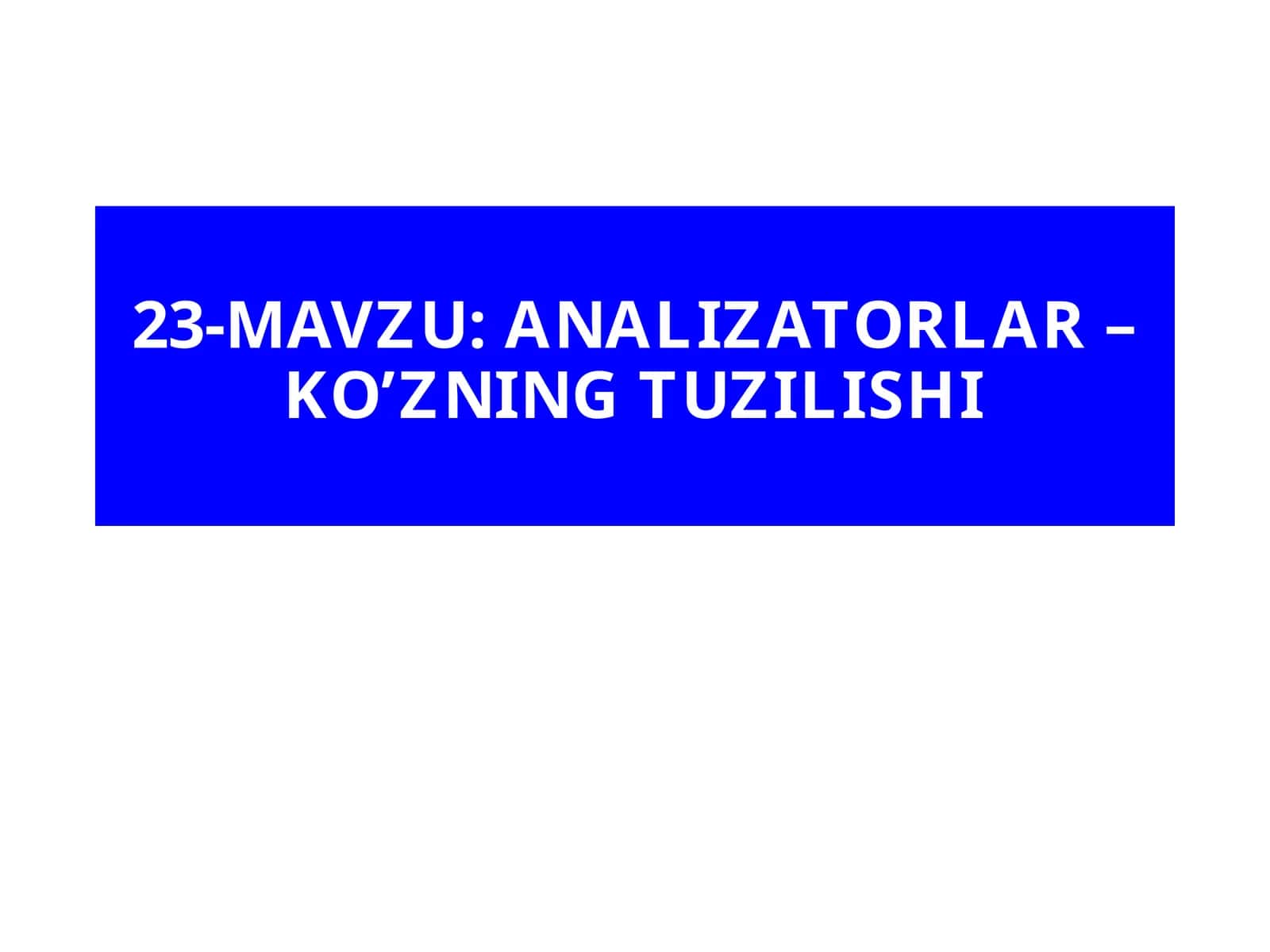 ANALIZATORLAR – KO’ZNING TUZILISHI