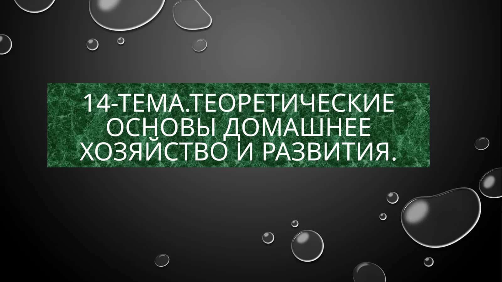 Теоретические основы домашнее хозяйство и развития