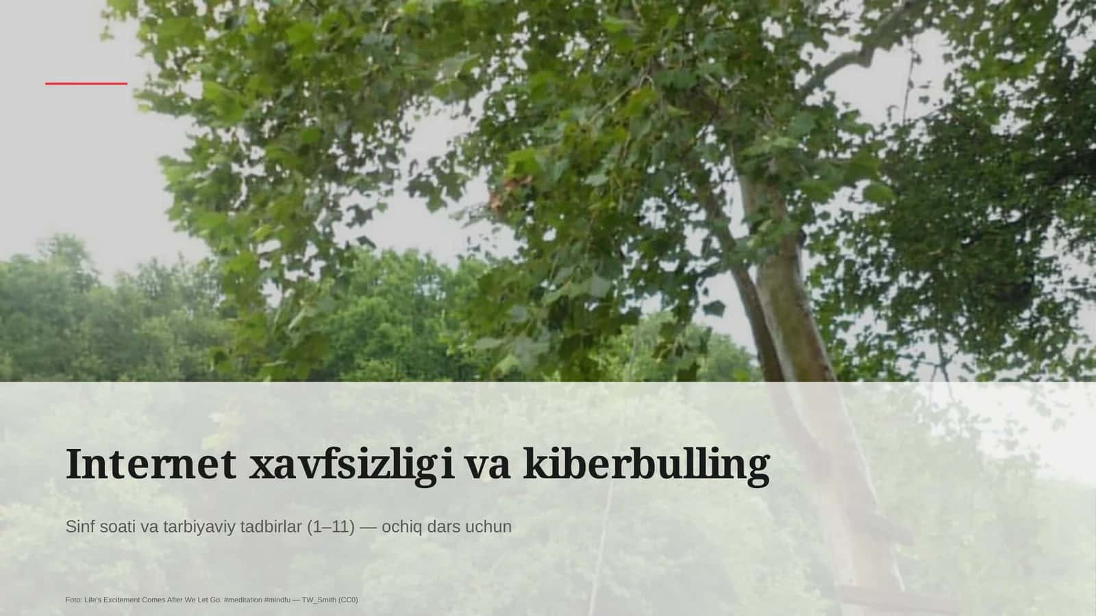 Internet xavfsizligi va kiberbulling
