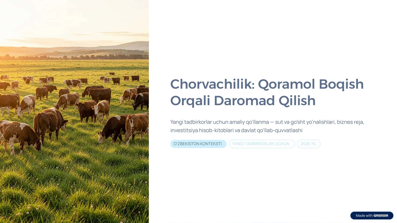 Chorvachilik: Qoramol Boqish Orqali Daromad Qilish