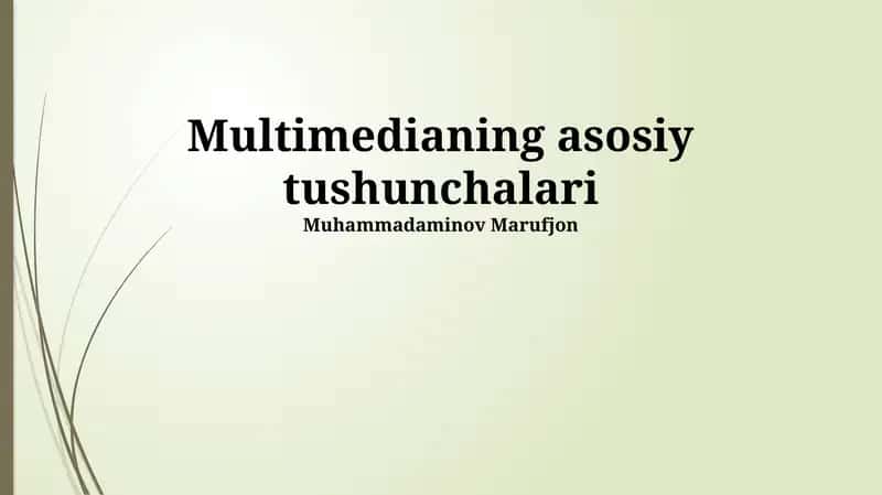 Multimedia formatlari
