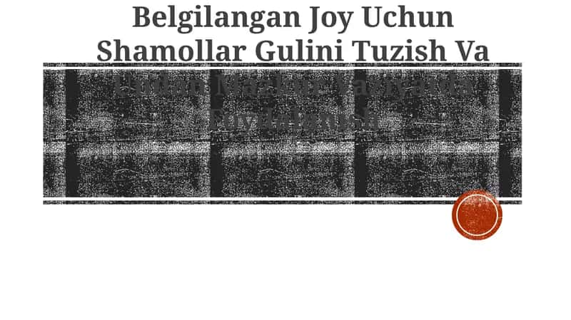 Shamollar Gulini