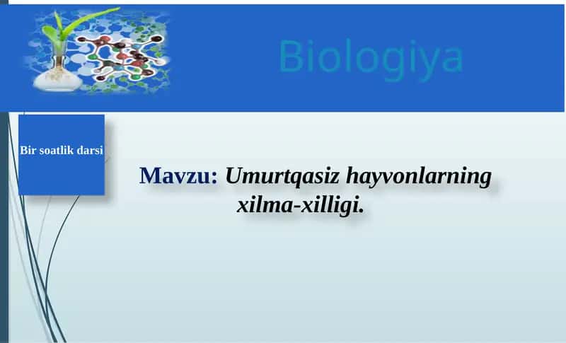 Umurtqasizhayvonlarningxilma-xilligi