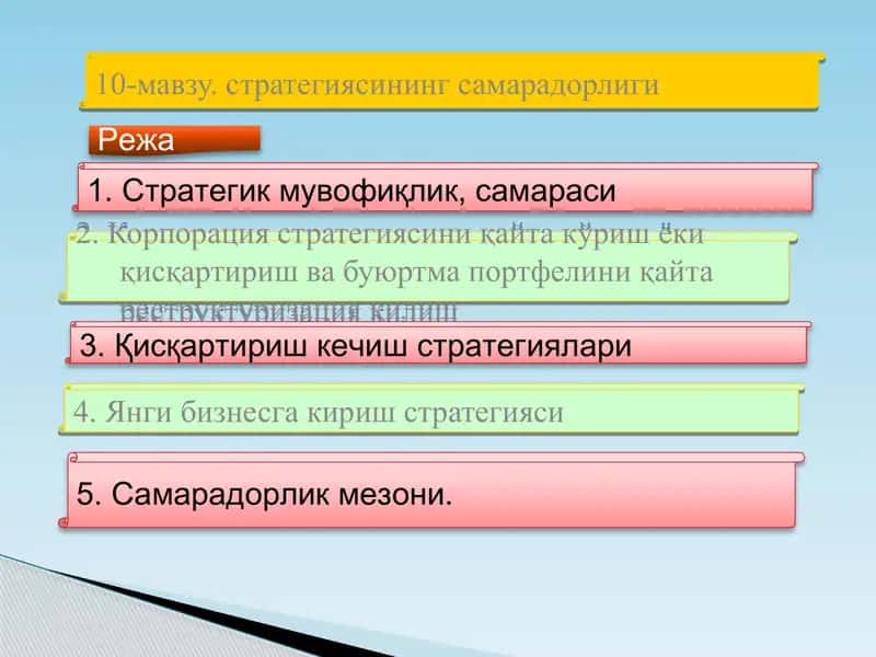 10-мавзу. стратегиясининг самарадорлиги