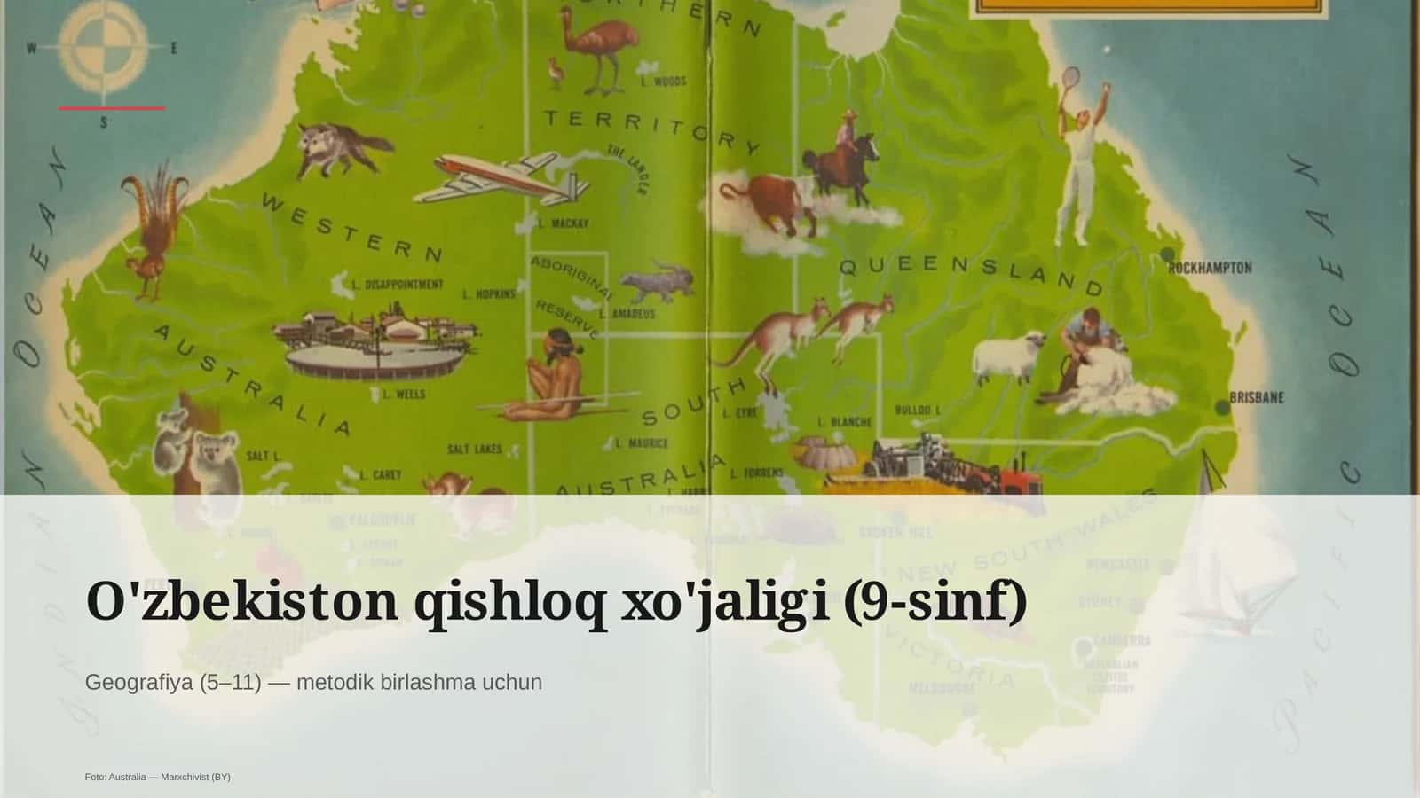 O'zbekiston qishloq xo'jaligi (9-sinf)
