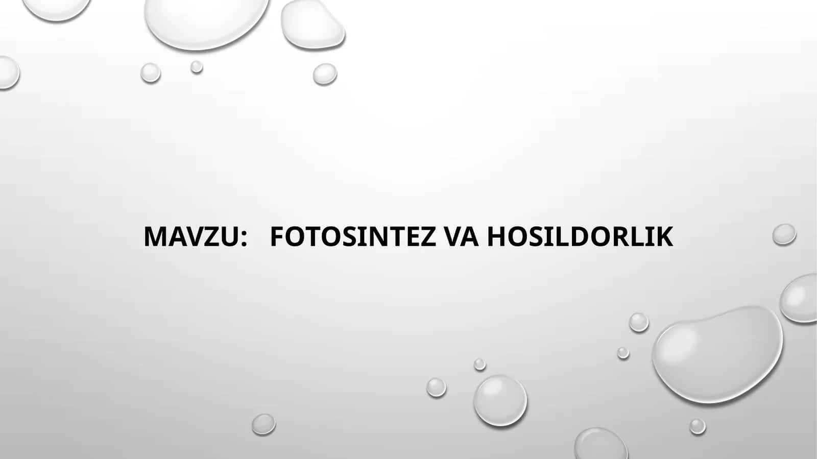Fotosintez va hosildorlik